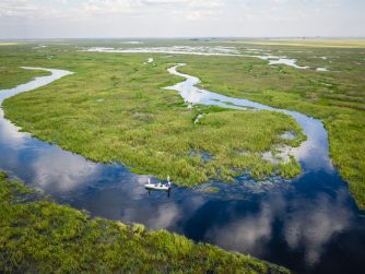 Ibera Marshlands where you fish PH River Wizards scaled